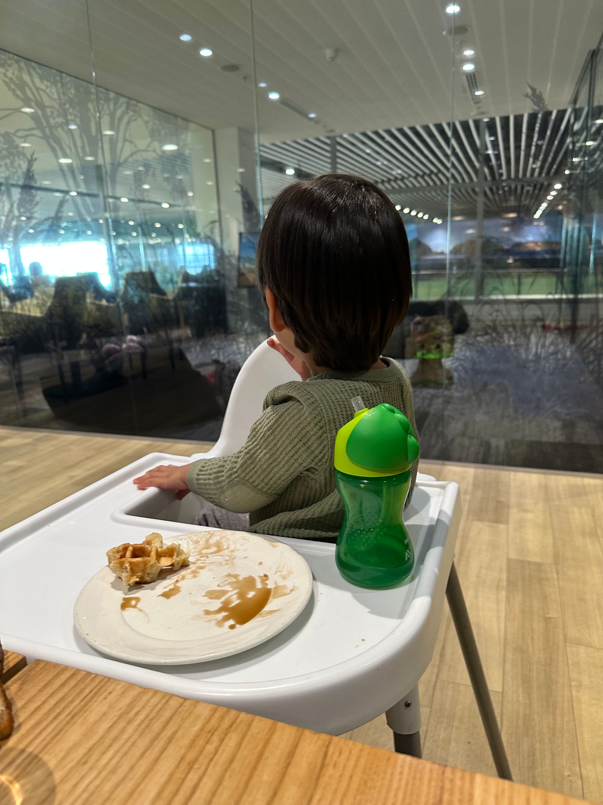Strata Lounge Auckland (AKL) Review: Kid-Friendly Airport Lounge